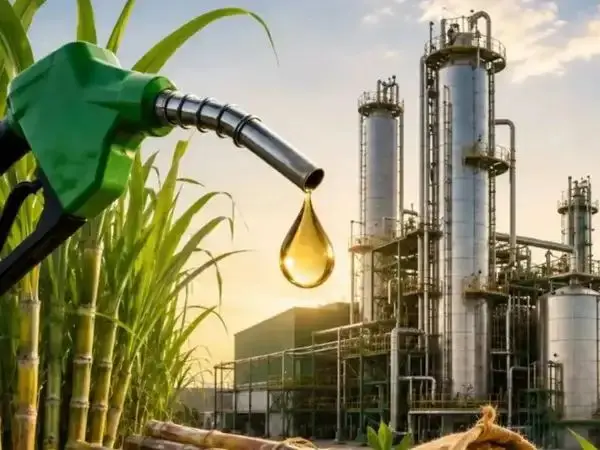 New Delhi Denies Trade Pacts for US Ethanol Imports