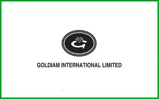 Goldiam International Q1 Results: Revenue Reaches 3.26 Billion Rupees