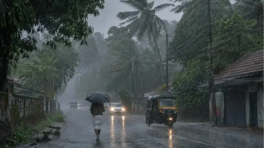 Monsoon Turns Fierce Again: IMD Issues Orange Alert for Kerala, Warns More States of Heavy Rain