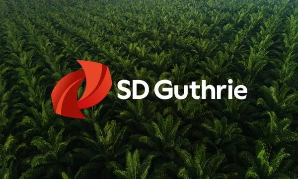 Delayed Reaction: SD Guthrie Group MD Outlines Extended Timeline for El Nino Impact