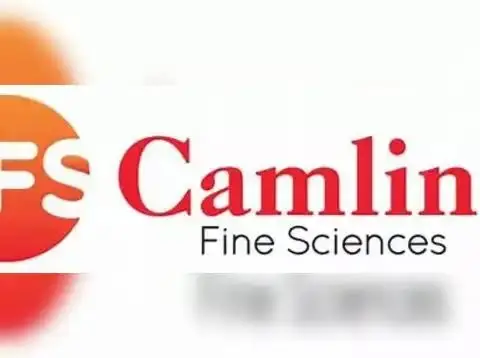 Camlin Fine Sciences Posts Rs 5.2 Billion June Qtr Revenue