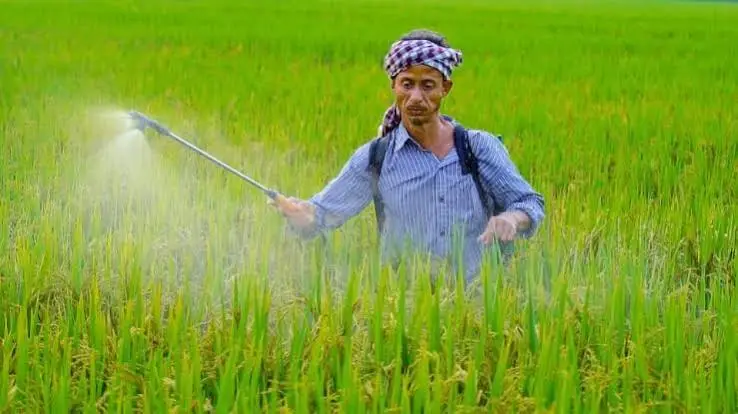 Billions in Fertiliser Subsidies-But How Much Is Being Wasted?