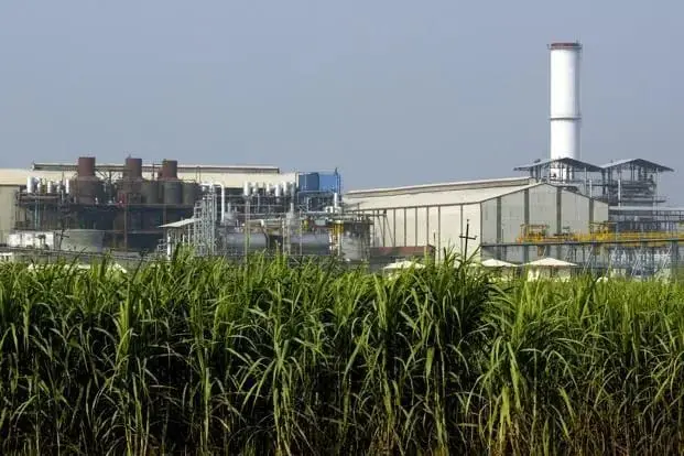The Sugar Mill Is Being Reinvented: How India Is Turning Cane Waste Into a Bio-Economy