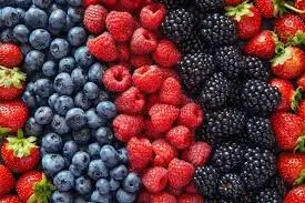 The Natural Shield: Why Nutritionists Are Obsessed With Blueberries and Red Cabbage
