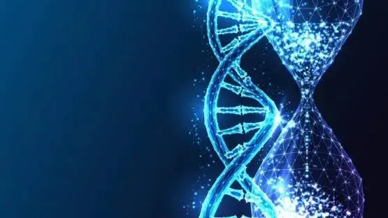 Epigenetic Clocks Map Immune and Metabolic Aging, Study Finds