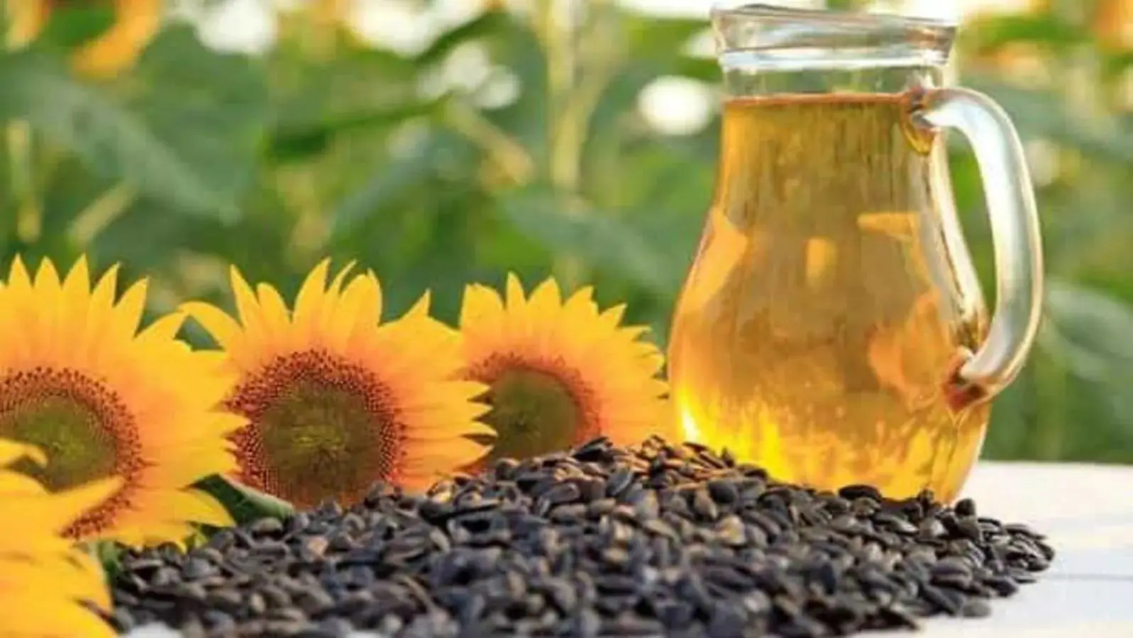 Adapting the Supply Chain: Record Soyoil Imports Buffer India Against Sunflower Shortfalls