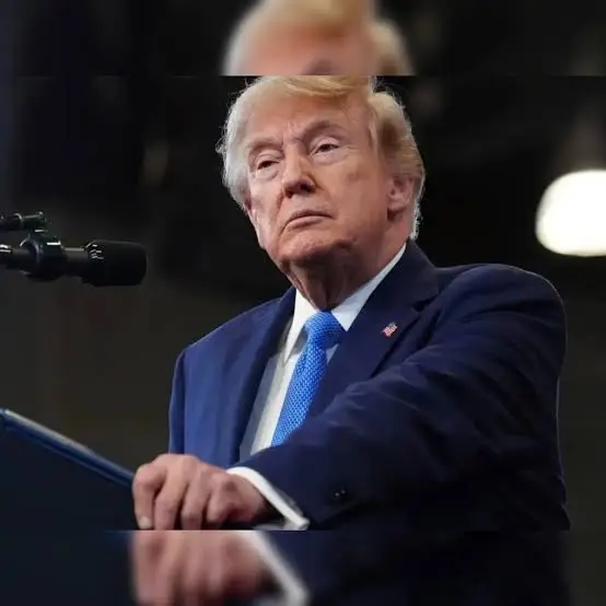Why Trump Is Citing India's Voter Cards in His Latest Election Push