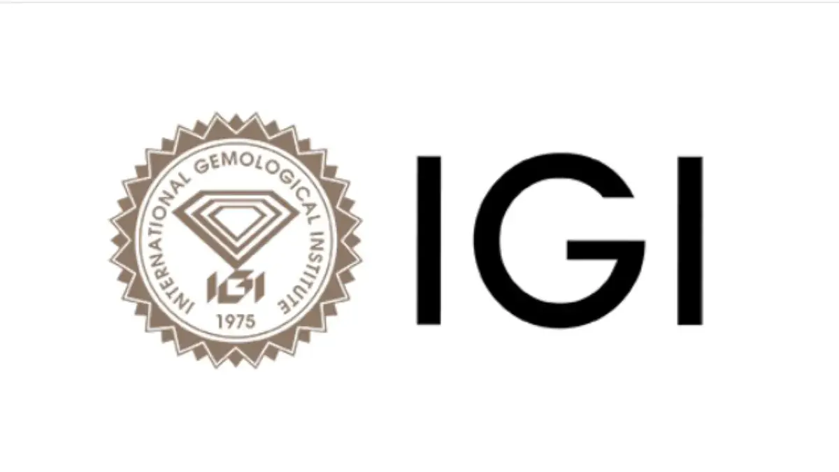 IGI India Board Approves ₹2.55 Interim Dividend Per Share