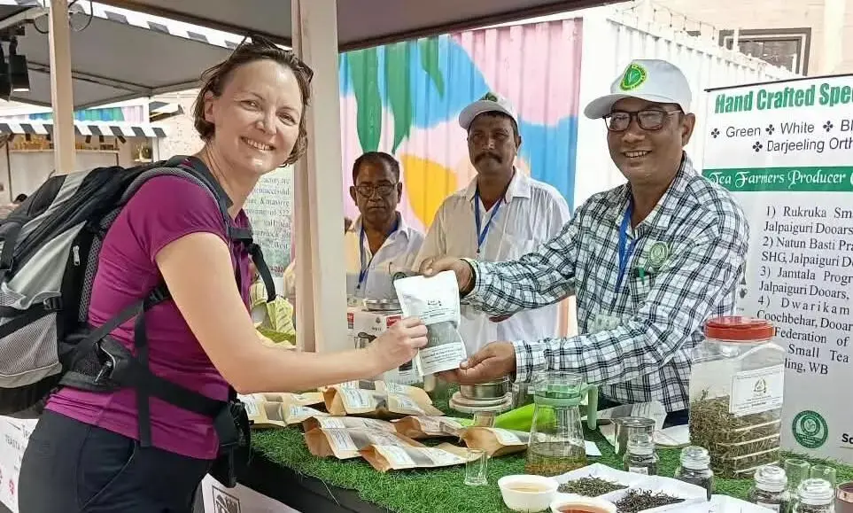 Brewing Gold: Jalpaiguri Artisans Fetch Rs 75,000 Per Kilo for Specialty Tea