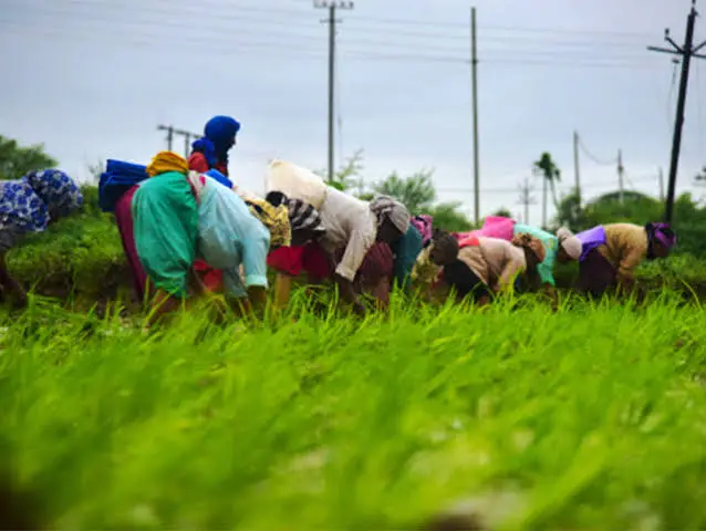 A New Lifeline for Bihar Farmers? The Kharif 2026 Scheme Explained
