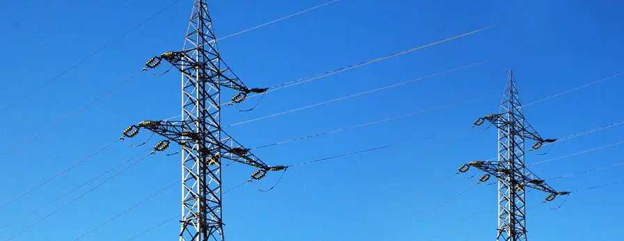 Amalgamated Electricity Appoints Aradhana Kurup as Managing Director