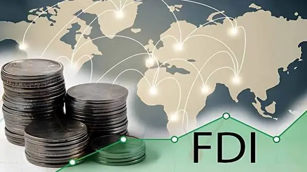 India Reports 29 Foreign Direct Investments Worth ₹4,895 Crore