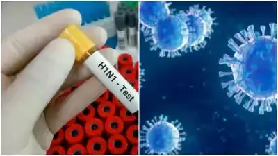 The Post-Monsoon Visitor: Why H1N1 Cases Are Climbing Across Major Indian Hubs