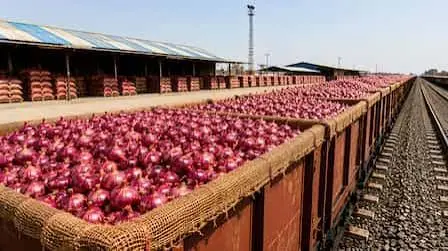 Why Onion Prices Are Climbing and What the Government Is Doing About It