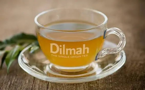 A Brew Above: Dilmah Launches Single-Origin Thambapanni Collection for India's Elite Cafes
