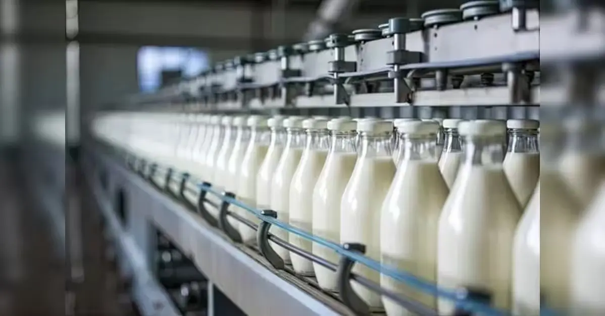Spreading Success: Milkfood Pours Rs 20 Crore Into Patiala Plant for Premium Dairy Push