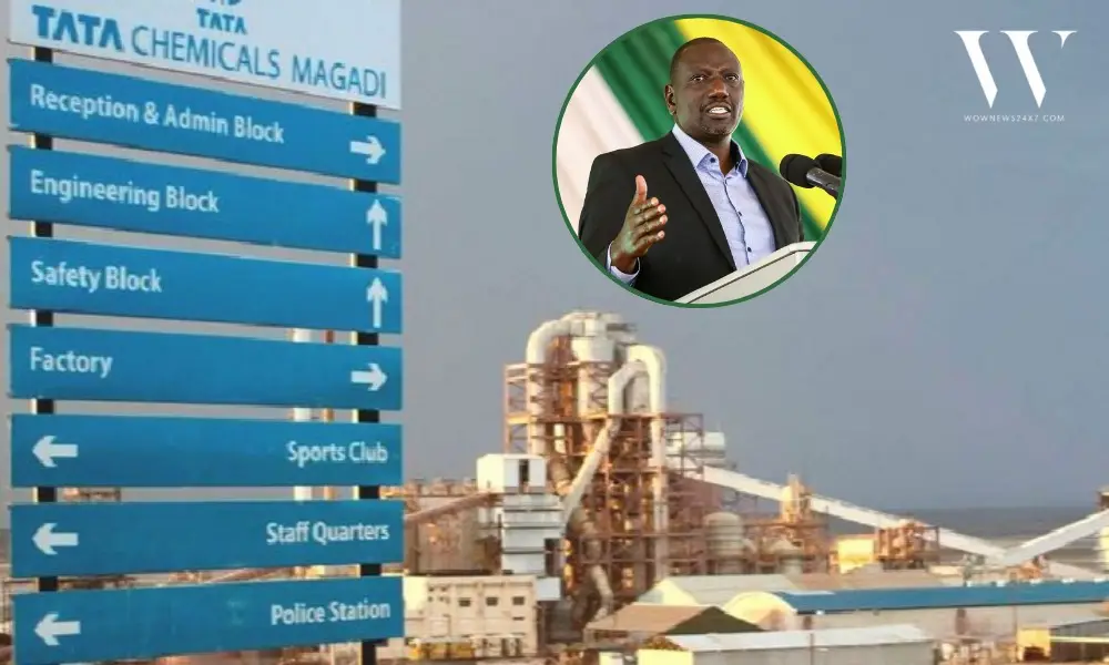 End of the Line at Lake Magadi: Kenya Revokes Tata Chemicals' Century-Old License