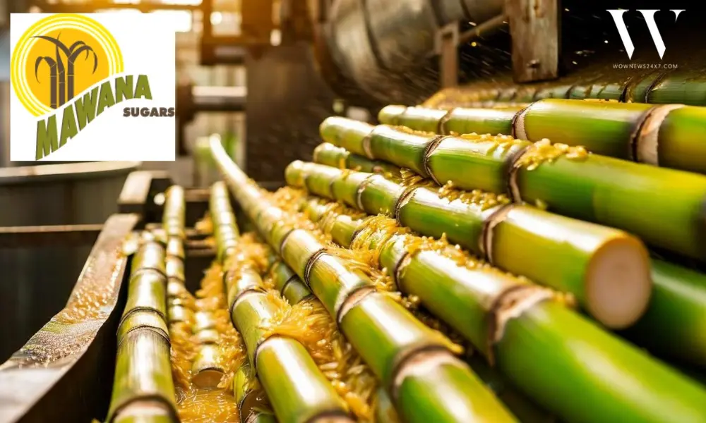 Mawana Sugars Unit Receives Tax Authority Demand