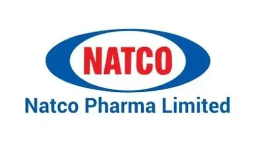 Natco Pharma Board to Consider Fundraising Proposals