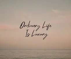 In a World Obsessed With More, There’s Luxury in Being Ordinary