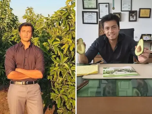 Bhopal Farmer Turns Barren Land into Rs 1 Crore Avocado Venture