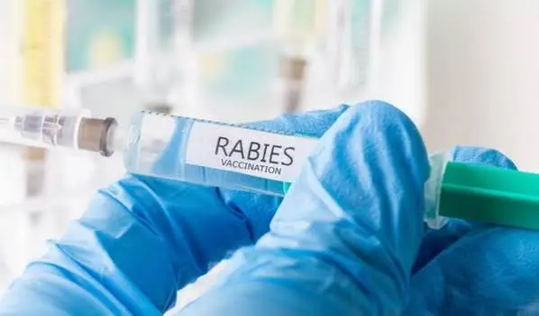 Abhayrab Vaccine Row Takes a New Turn: “Those Vials Aren’t Ours,” Says IIL