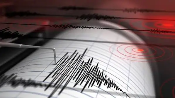 Magnitude 4.9 Quake Hits Lower North Island
