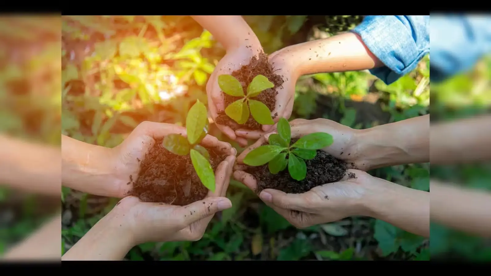 Three Decades of Harvests: How ASEAN and India Are Turning Agricultural Dialogue into Prosperity