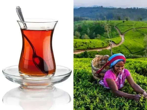 Dark Brews: How Turkey Shows That Indian Tea’s Future Might Be Black