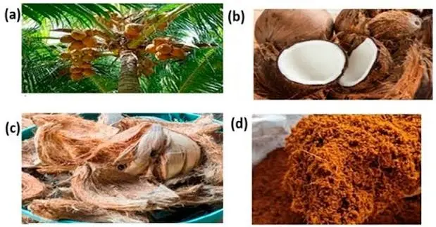 MSME Ministry Drives Rural Revival Through India Coir Transformation