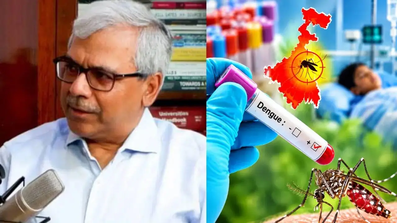Single-Dose Salvation: India Envisions Home-Grown Dengue Vaccine by Late Next Year