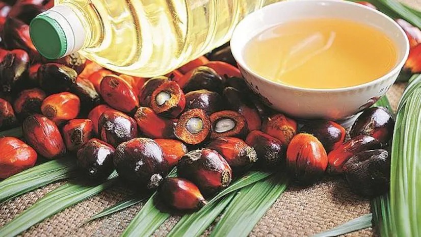 Import Duty Uproar: Can India’s Palm Oil Industry Survive the Price War?