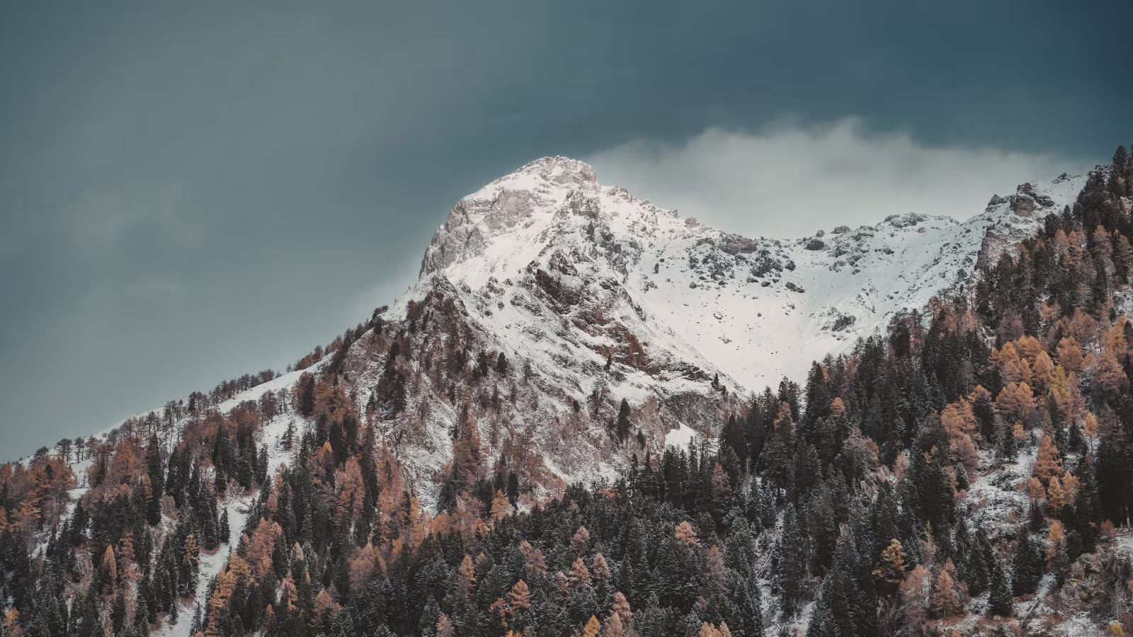India’s Own Winter Wonderland: Snowy Escapes Without Leaving Home