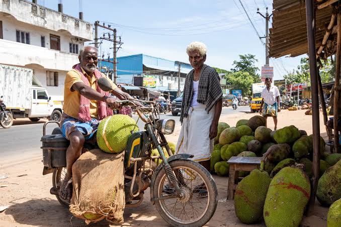 Panruti: The Town Putting GI-Tagged Jackfruit on Global Menus