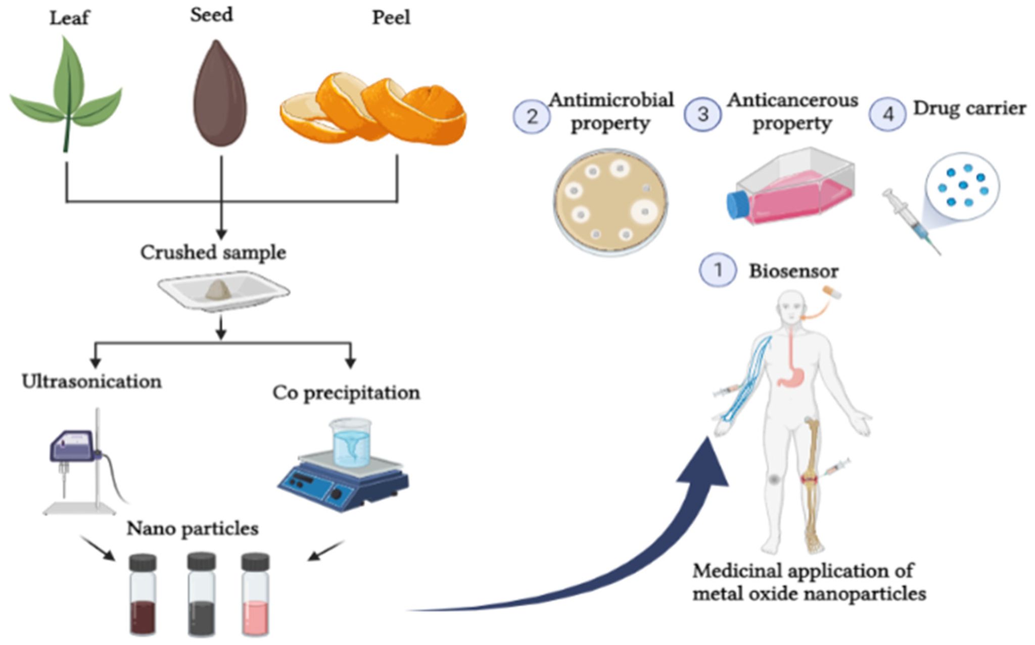 New Discoveries in Nanoparticles at SVNIT Surat
