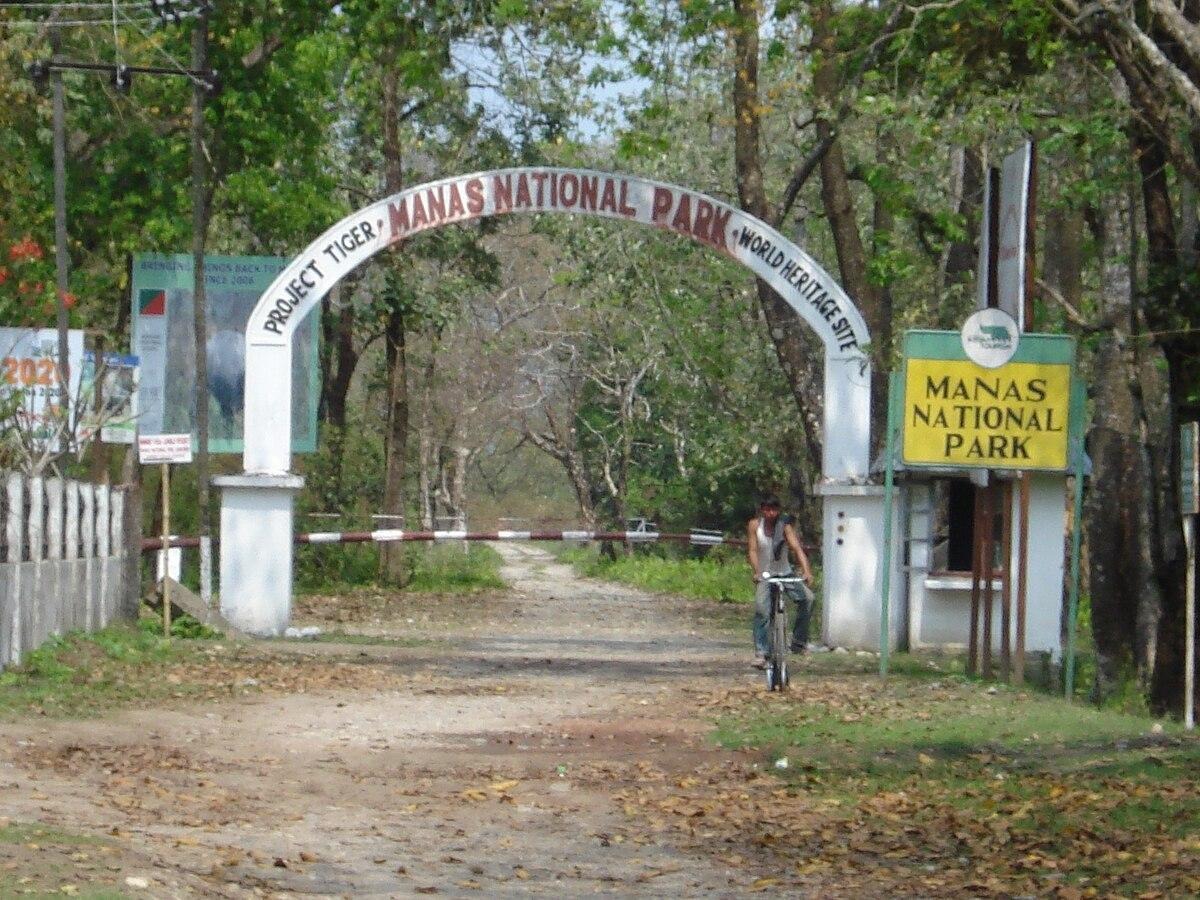 Manas Tiger Reserve Reports 43% Grassland Loss Due to Invasive Plants