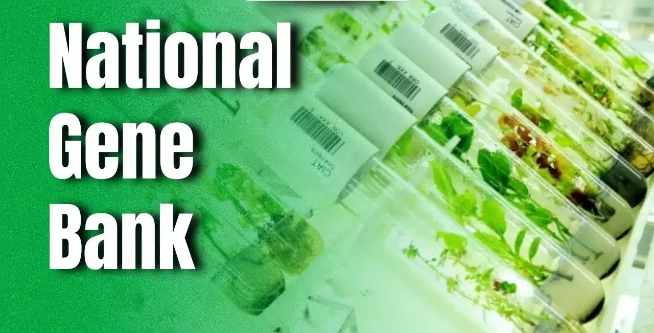 Keylong Selected for India’s Second Crop Gene Bank to Ensure Long-Term Germplasm Conservation