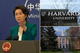 Hong Kong Opens Doors To More International Students Amid Harvard Ban