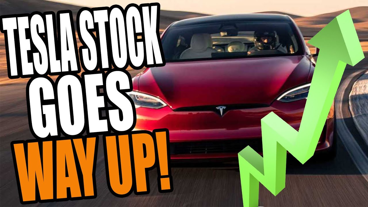 Musk Magic: Tesla Stock Zooms to New Heights