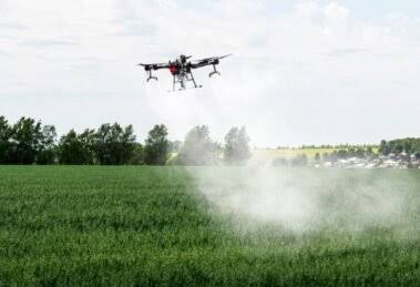 Fertiliser Stocks Rally Up to 14% on Russian Supply Assurance