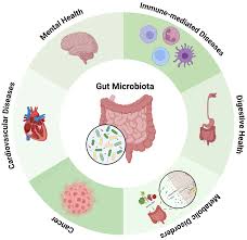 Scientific Advances Confirm Gut Health Drives Systemic Immunity