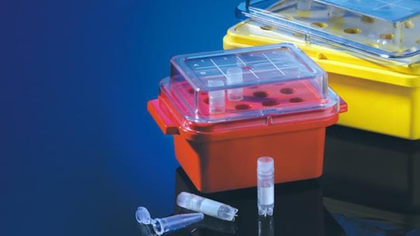 Tarsons Products Reports Steady Q4 Performance With Revenue Growth