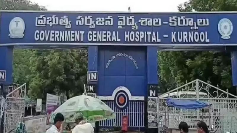 Kurnool Govt Hospital Marks 15th National Organ Donation Day with Rally, Pledges, and Public Awareness Drive