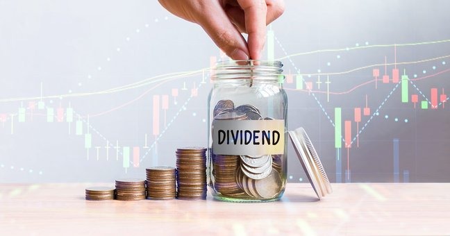 A Portfolio’s Quiet Reward—Will You Catch the July 11 Dividend Wave?
