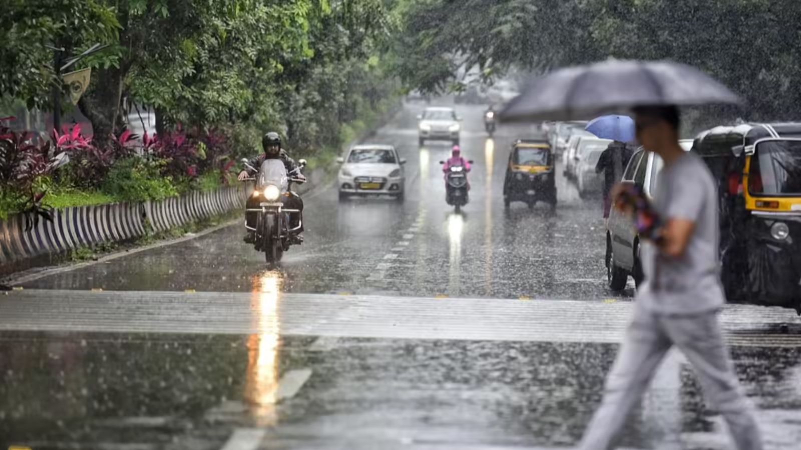 Thundershowers Cool Bengaluru As March Rainfall Nearly Doubles Average