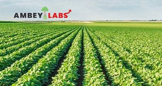 Ambey Laboratories Announces Incorporation of Dhansa Biofuels Power Subsidiary