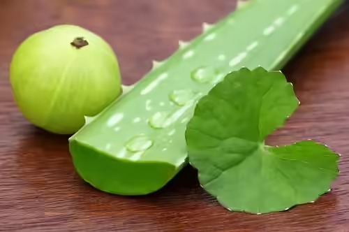 Nature’s Hair Rescue: How Amla and Aloe Vera Can Help Stop Hair Fall
