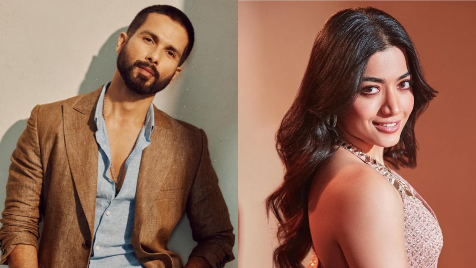 Shahid Kapoor And Rashmika Mandanna Reunite For New Romantic Comedy