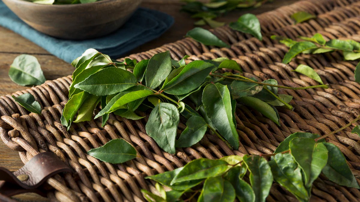 Flavour First: Kitchen Hacks To Detox Curry Leaves Without Compromising Taste