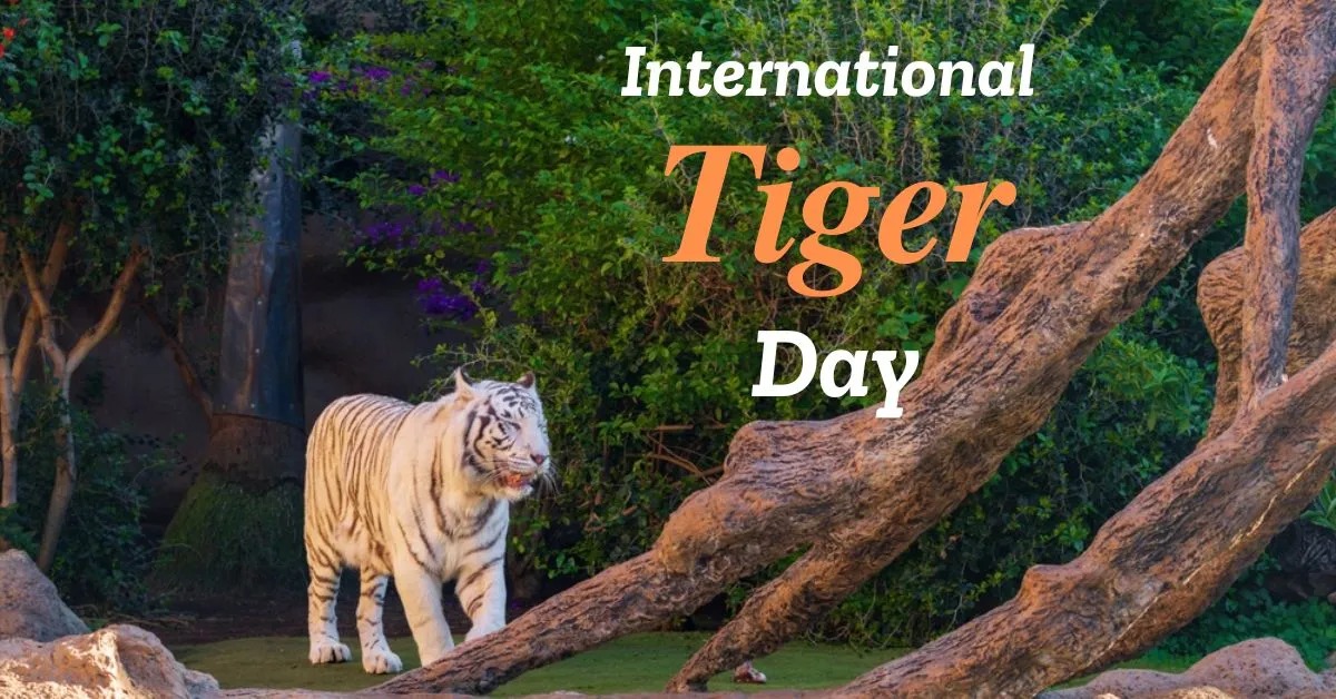 Roar for the Wild: Palamau’s Human Relocation Marks a Turning Point for Tiger Conservation